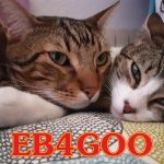 EB4GOO EB4GOO