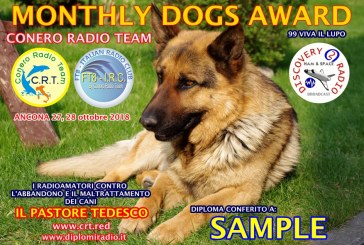 CRT – Monthly Dogs Award – Diploma canino mensual