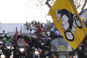 Del 10 al 13-1-2019 EG1PIN “Pingüinos 2019