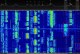 Acción exitosa del IARU Monitoring System Región 1: Transmisiones del radar SuperDARN en 20 metros