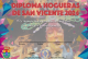 Diploma Hogueras de San Vicente 2025