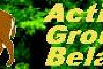 AGB-NYSB Contest