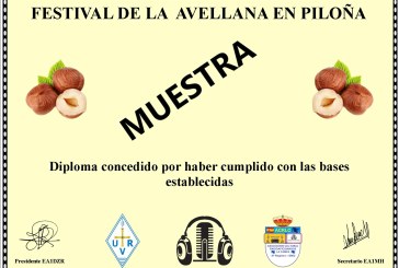DIPLOMA FESTIVAL DE LA AVELLANA EN PILOÑA