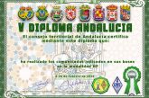 V Diploma día de Andalucía