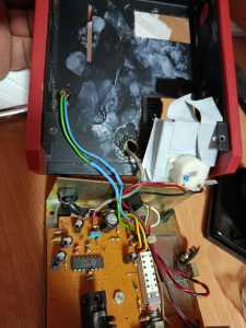 IMG 20250605 131607
