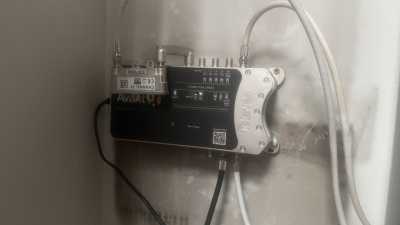 IMG 9854