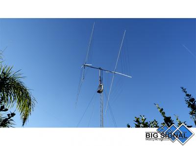 BIG SIGNAL