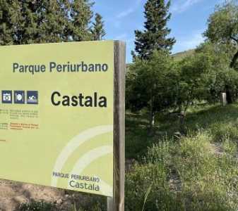 castala zona forestal berja (1) castala zona forestal berja (1)