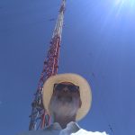 EA4CIV