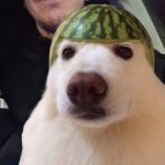 EA9449URE