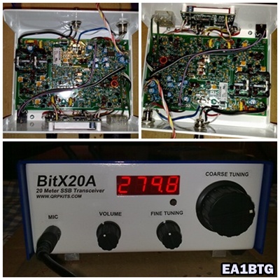 bicho1-20100502-2.jpg