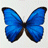 EA8MT